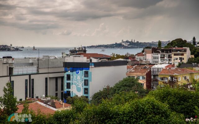 Gábor Egyed: “Yıldız Patikası” başlıklı mural projesi